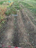IMG_2026-08-20-221911.jpeg