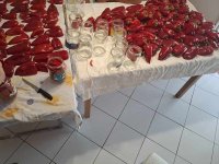 IMG-20260827-WA0000.jpg