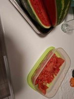 20260904_201012.jpg