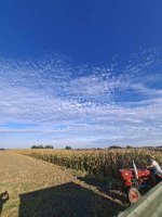 20260905_075121.jpg
