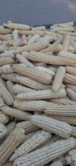 20260905_150249.jpg