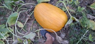 20260905_192705.jpg