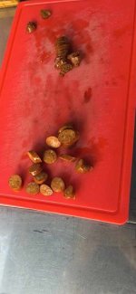 17081.jpg 17081.jpg