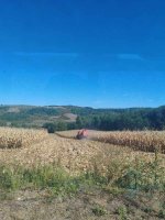 IMG_20260916_110230.jpg