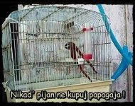 55527.jpg