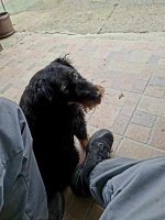 20261010_125106.jpg