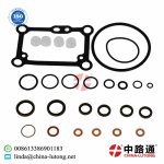 Yanmar-X7-diesel-pump-rebuild-kit (18).JPG