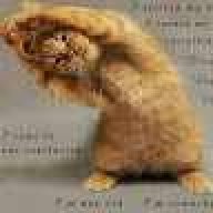 Martin_688