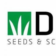 DLF Seeds
